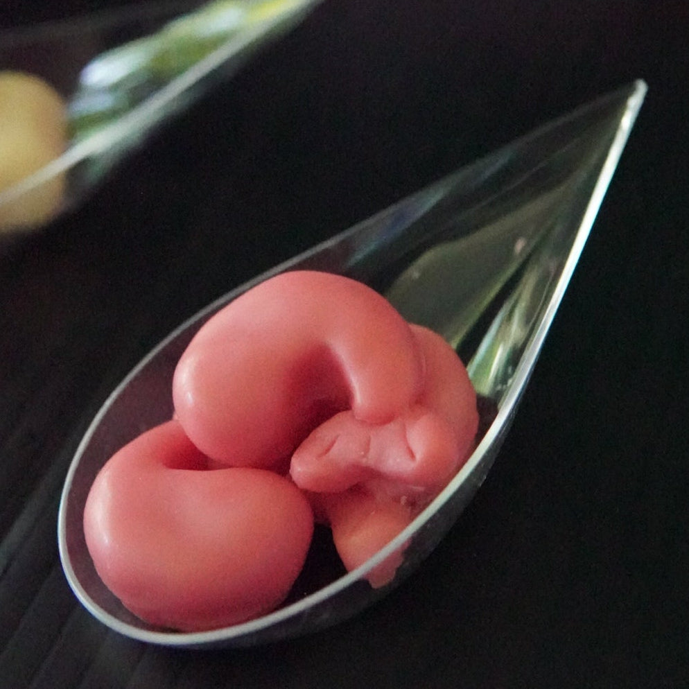 Shrimp